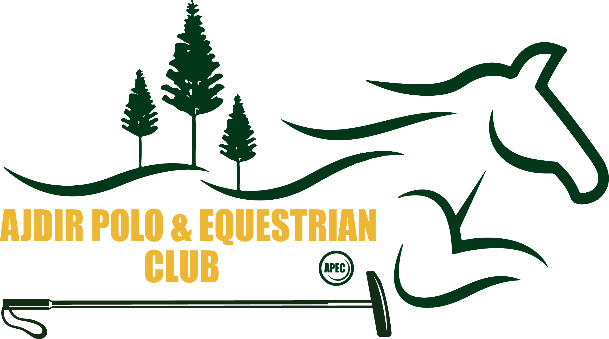 Ajdir Polo & Equestrian Club logo